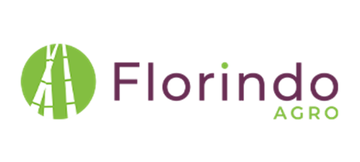 Sansão & Florindo Ltda